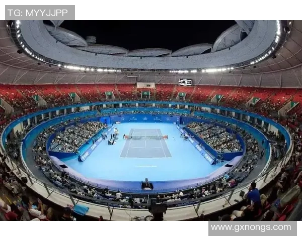 杭州网球队强势崛起最新网球状态TOP10榜单揭晓