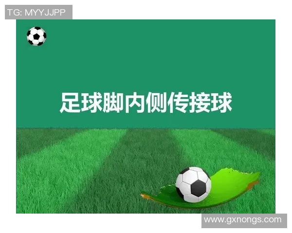 武汉足球队的崛起与发展探索聚焦足球力量的背后故事与未来愿景