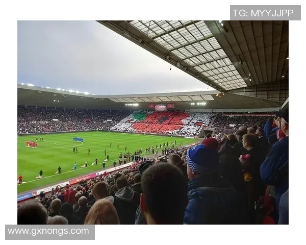 没儿子的足球明星们如何在绿茵场上书写传奇人生与家庭情感的交织