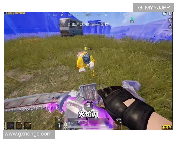 聚焦和平精英：BLG的节奏话题