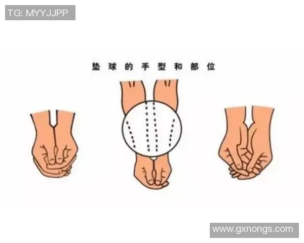 排球新手攻略：耐力入门指南